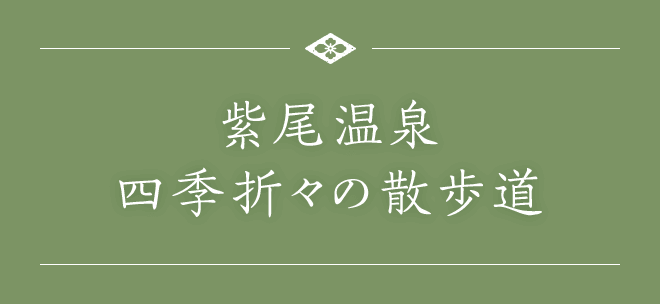 紫尾温泉四季折々の散歩道